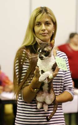 �������� ����� '���-�����-��������' 20-21 �������� 2014 2-186-169A1754 copy.jpg